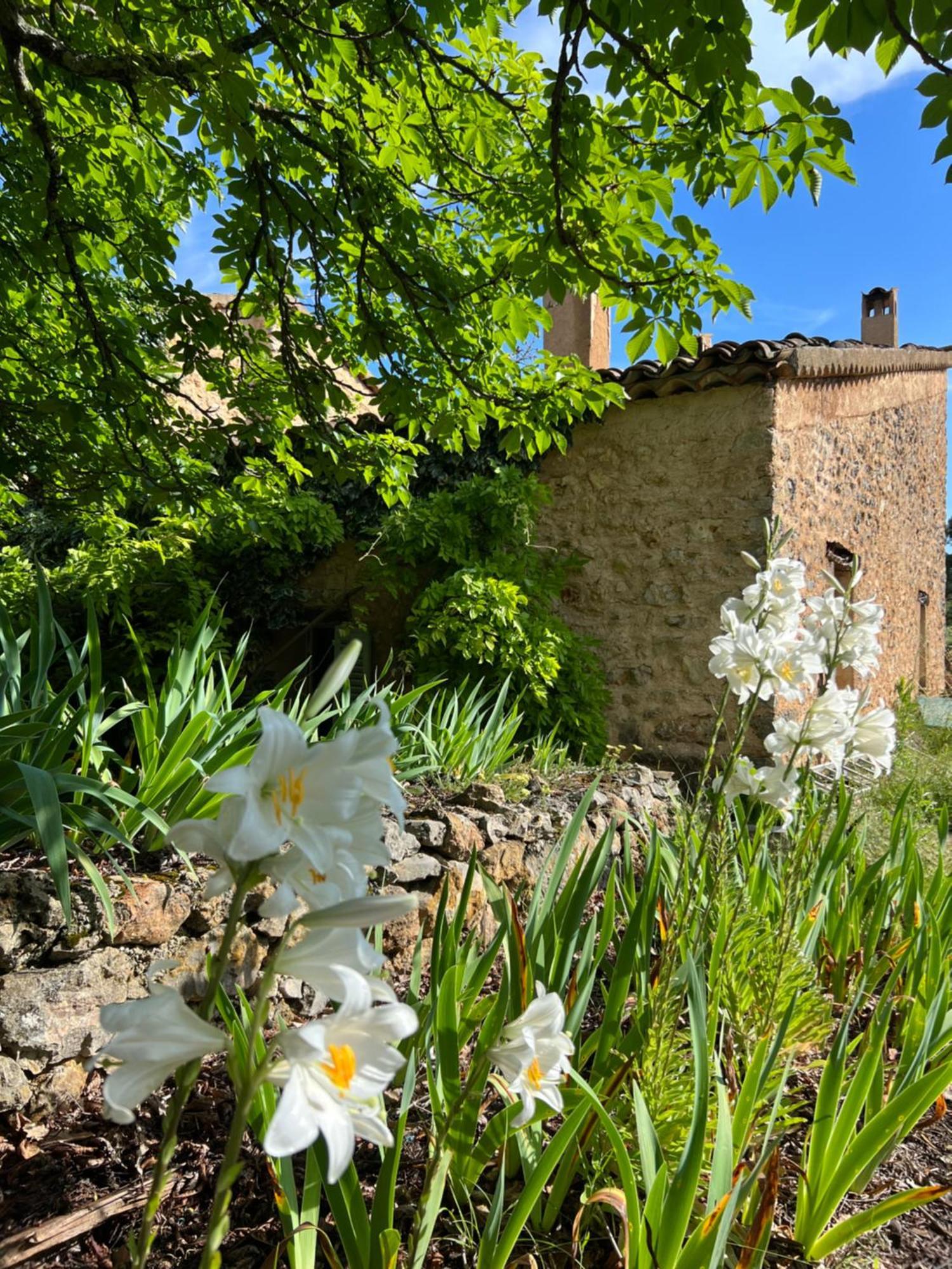 Charmant Appartement Independant Au Sein D'Un Mas Provencal Aups Esterno foto